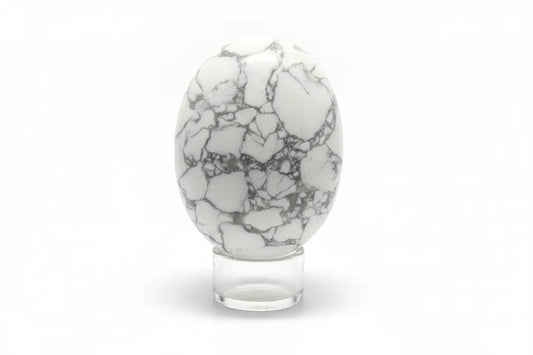 gray and white howlite mineral oval shaped rock in a glass stand, white background