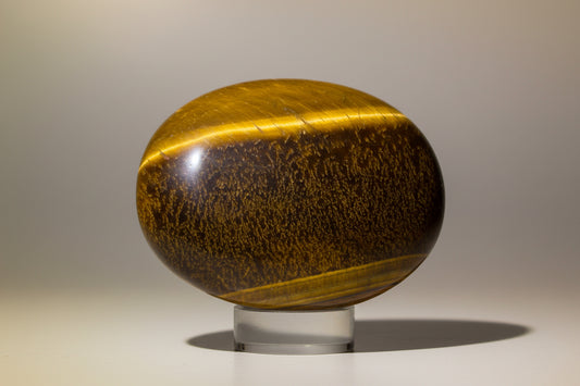 Oval-shaped tiger's eye stone on a white background