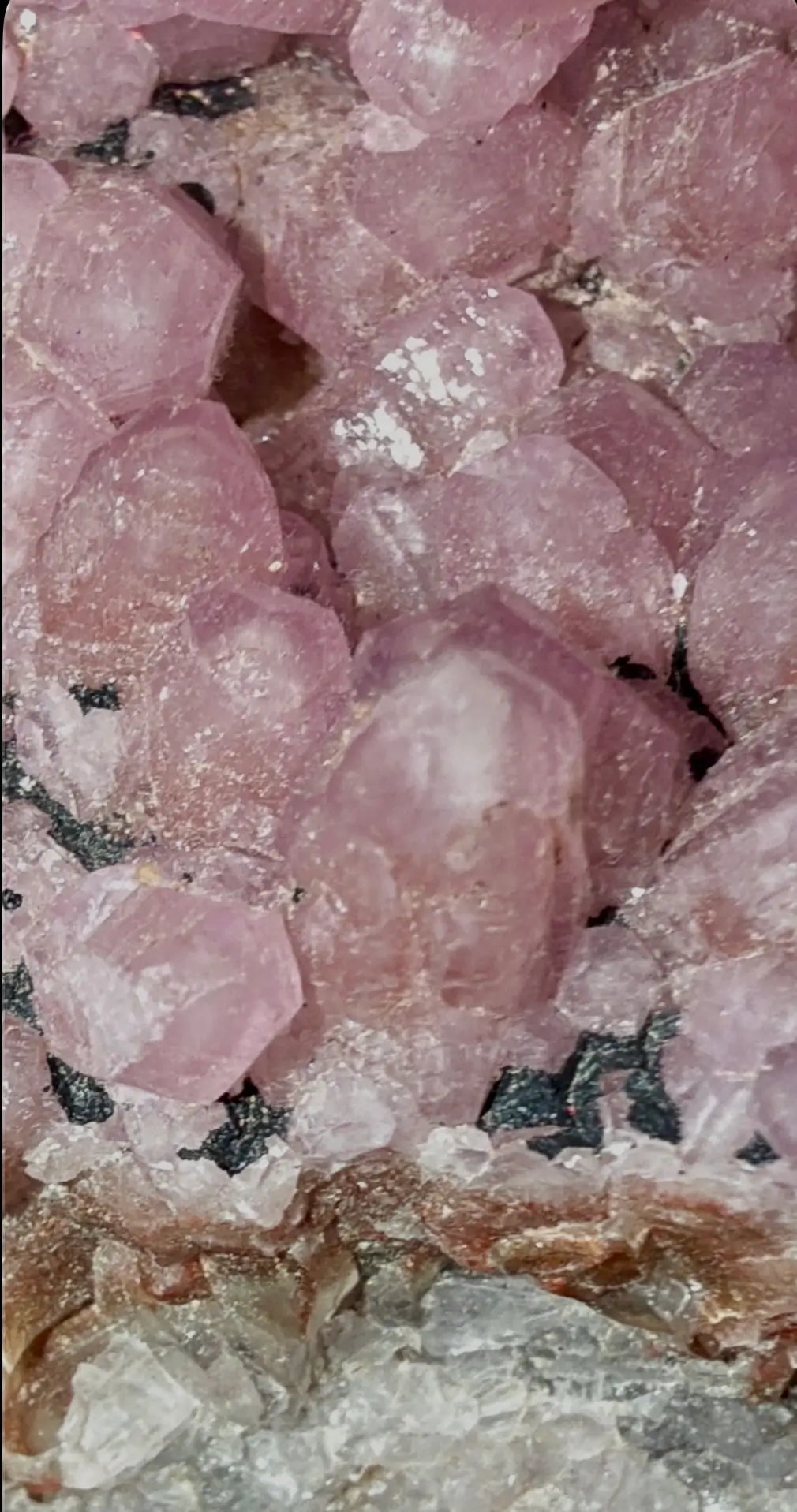 Cobaltoan Calcite mineral specimen angled display view