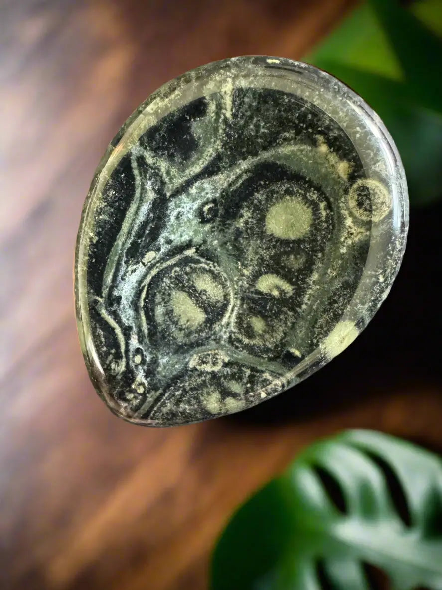 close up kambaba jasper greens, olive greens, lime greens swirls rainforest  