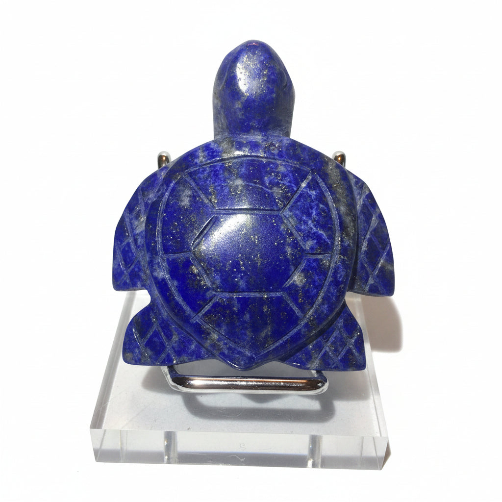 A carved blue lapis lazuli turtle figurine shown from the back visible.