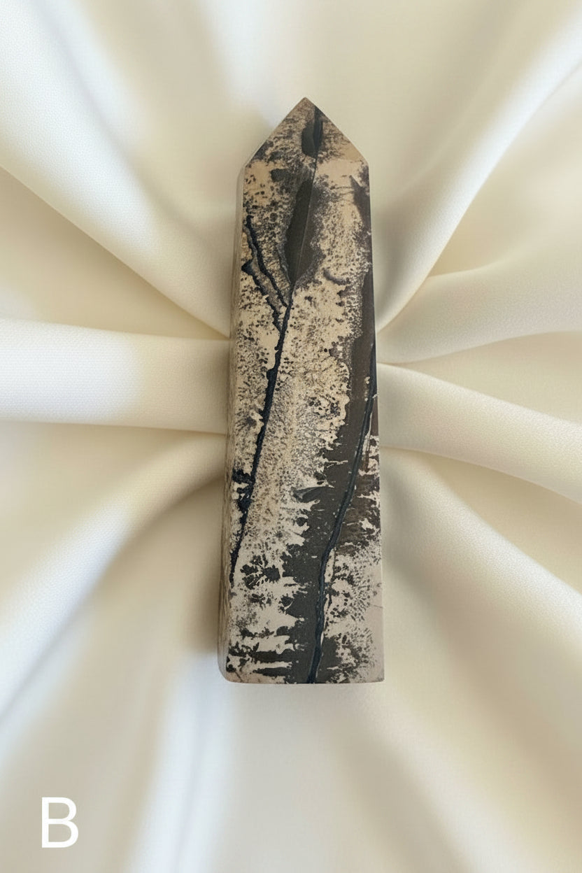 photo of picture jasper tower b, beautiful banding and dendritic inclusions