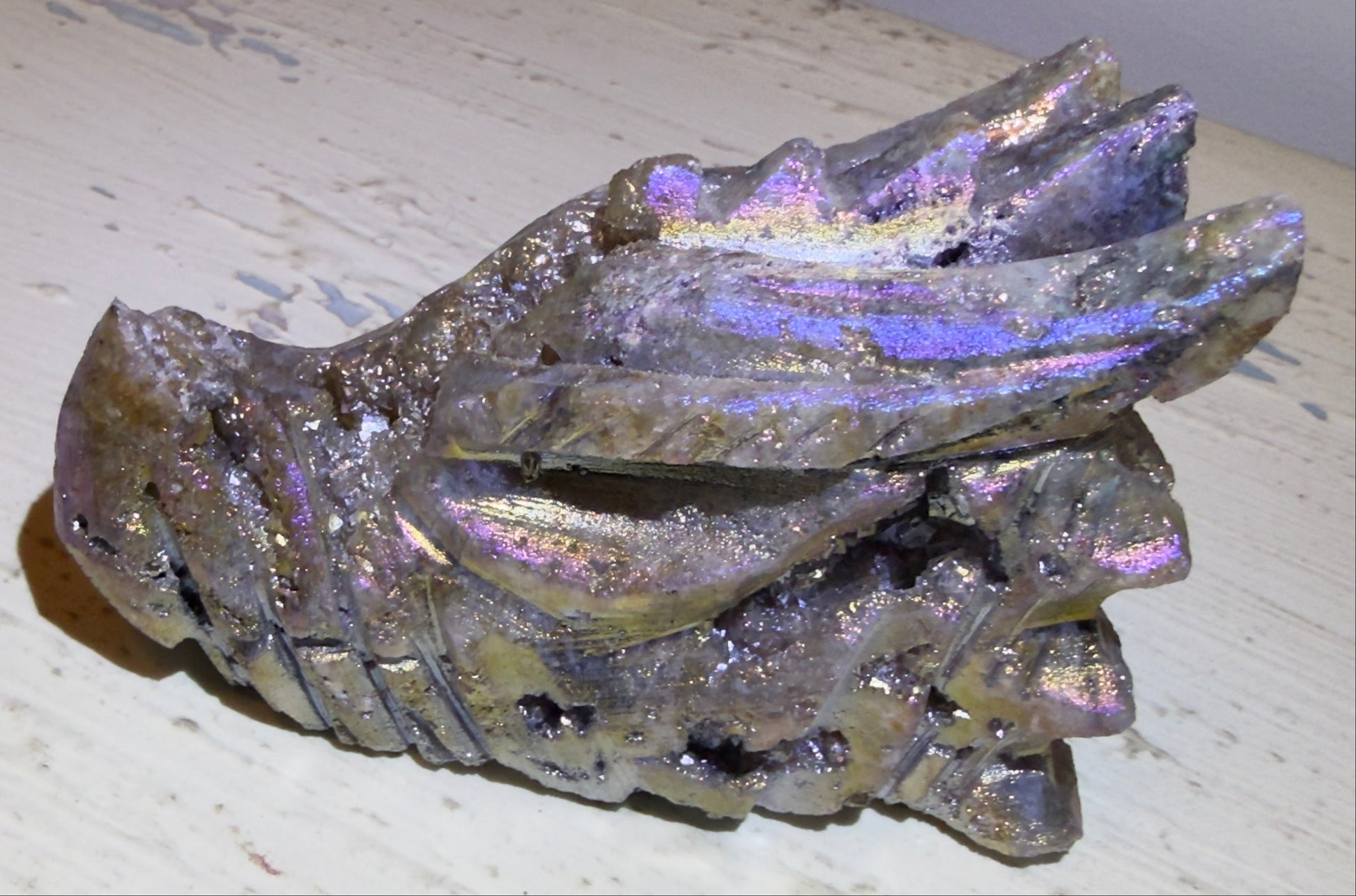 stunning side view of rainbow aura dragon skull druzy pockets