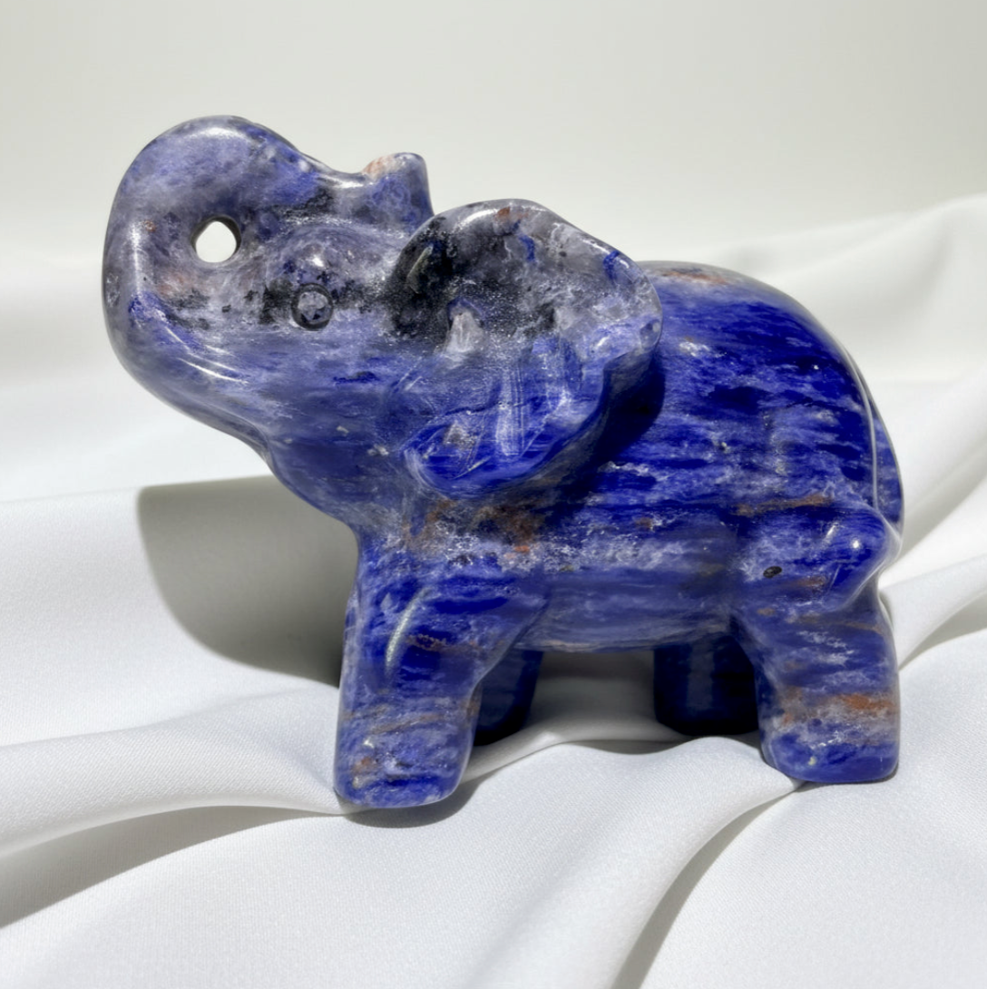 Lapis Lazuli Carved Elephant | Wisdom, Luck & Protection | Wt 7.28 oz