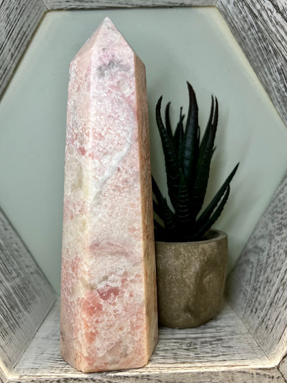 A pink crystal tower next to a potted succulent in a distressed white hexagonal frame.
