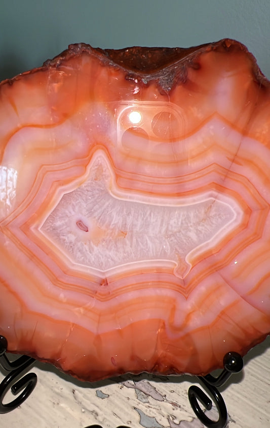 Translucent agate slice with concentric orange bands and a white crystalline center, displayed on a black metal stand.