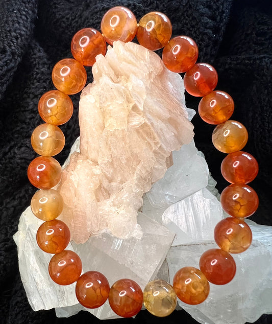 Carnelian Agate 10mm Bead Bracelet - Main Street Crystals & Minerals
