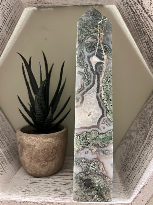 A succulent plant in a brown pot next to an agate obelisk, set inside a white wooden hexagonal shelf.