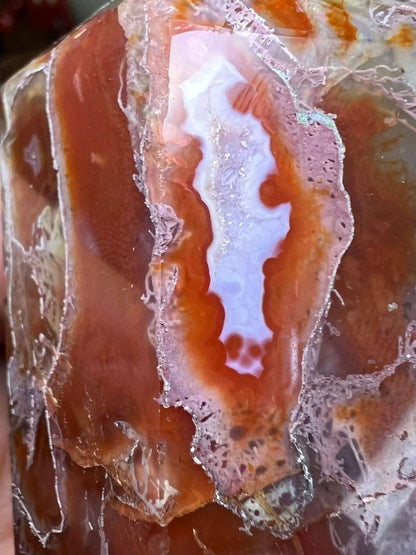 Alice in Wonderland Red Agate Warrior set angled display view