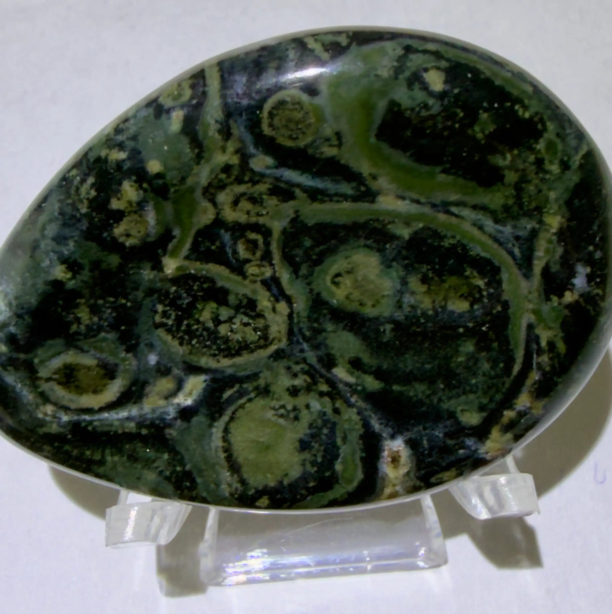 front view of kambaba jasper worry stone colors bright greens swirled blacks 