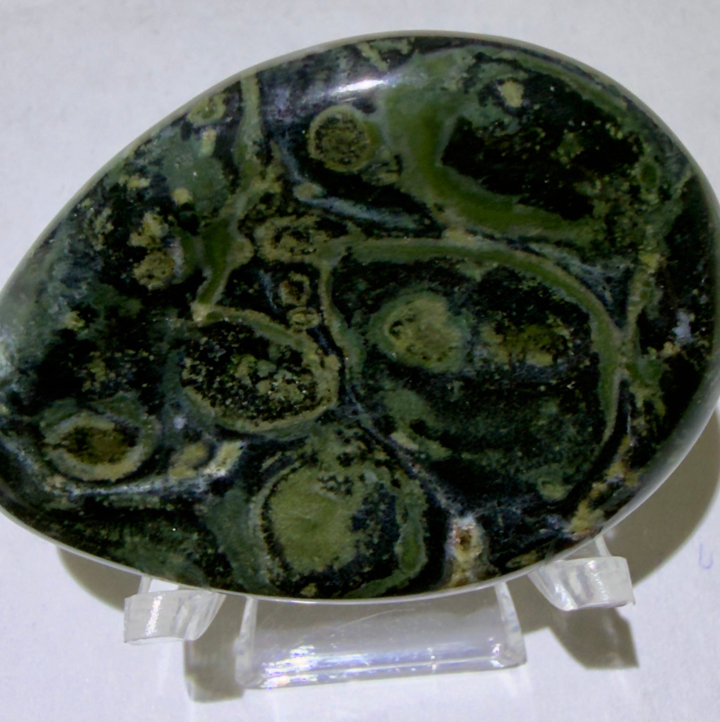 front view of kambaba jasper worry stone colors bright greens swirled blacks 