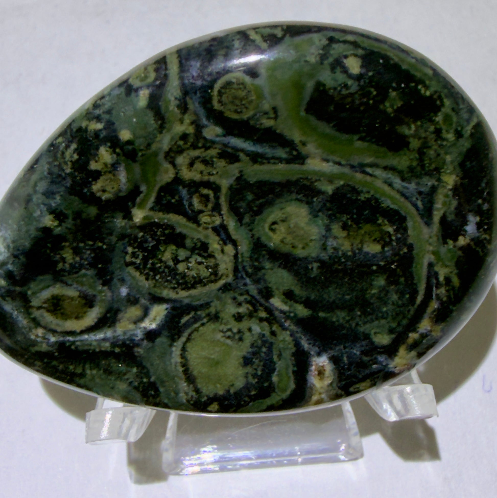 front view of kambaba jasper worry stone colors bright greens swirled blacks 