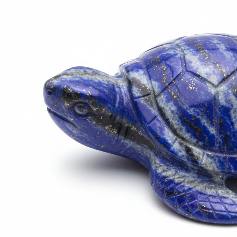 close-up product photo lapis lazuli sea turtle carving showing cute face 