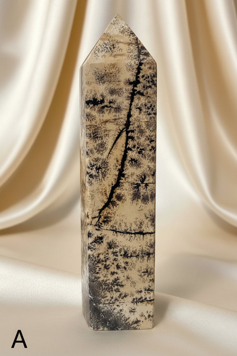 photo of picture jasper tower showing banding and dendritic inclusions. beautiful browns, tans, off white and blacks    Side View