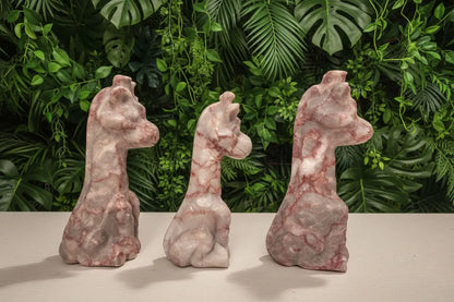 Side view of three red vein jasper carved giraffes 