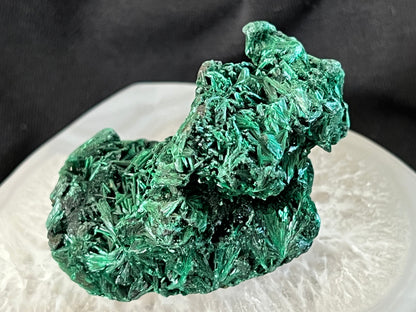 Malachite crystal specimen on white surface against black backdrop.
