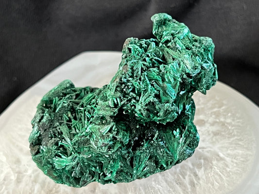 Malachite crystal specimen on white surface against black backdrop.
