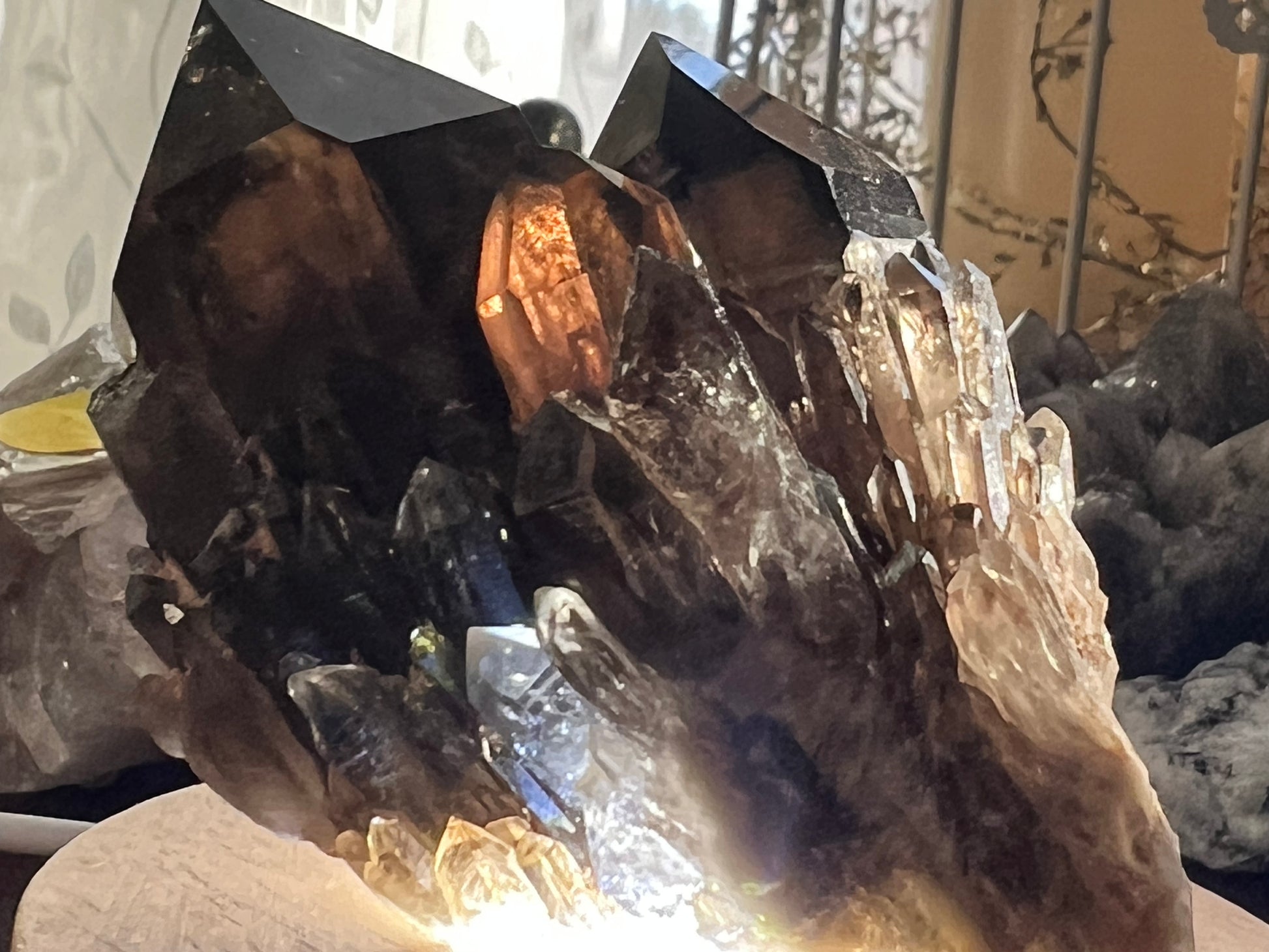 Close up with great details showing smoky quartz natural cluster rich brown colors specimen with lighted stand 